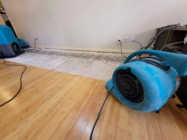Professional Basement Flood Cleanup technician working in Riverside, PA